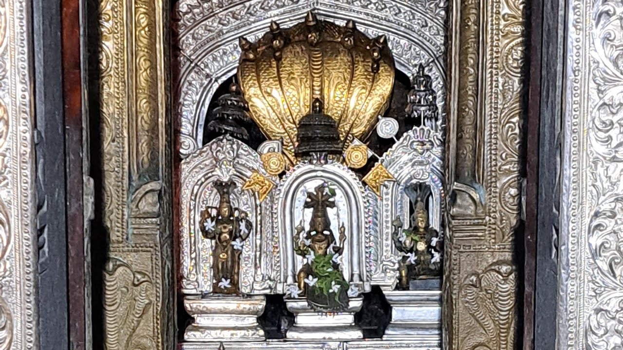 @Hare Krishna Sri SriJagannath  is live Kudpu Sri Ananta Padmanabha Devasthan