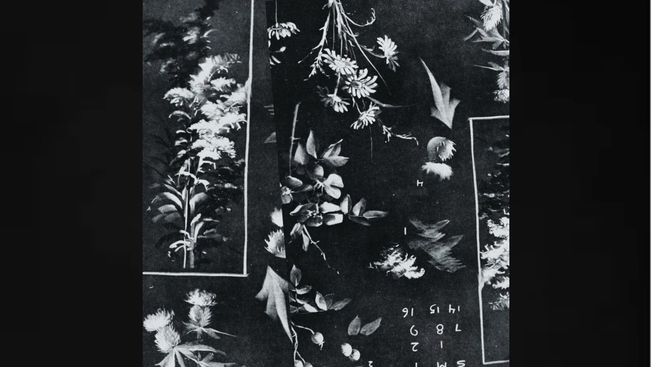 Prepuce - Crown Element (Harsh Noise/Power Electronics, 2026, Full Album, HWR/012)