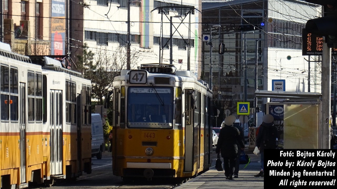 GANZ csuklós villamosok a Budapesti Móricz Zsigmond körtéren - 47-es villamos 2025.03.18. (FHD50)
