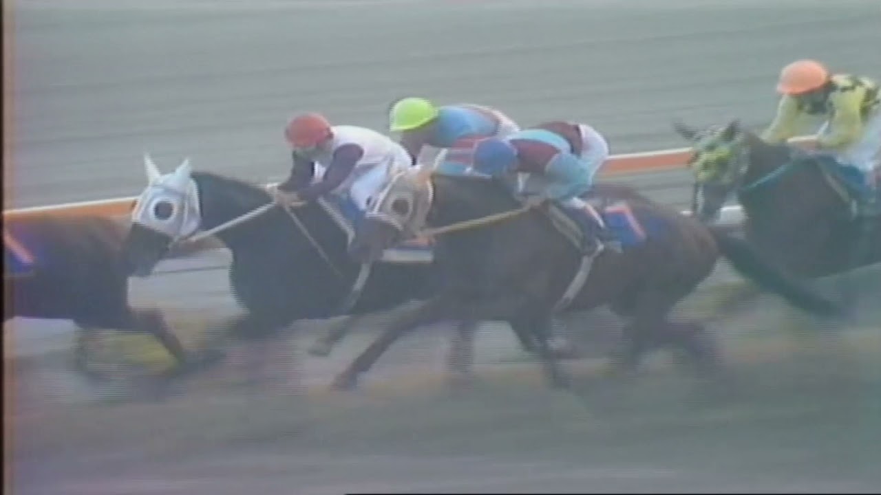 1973年　菊花賞　ハイセイコーvsタケホープ