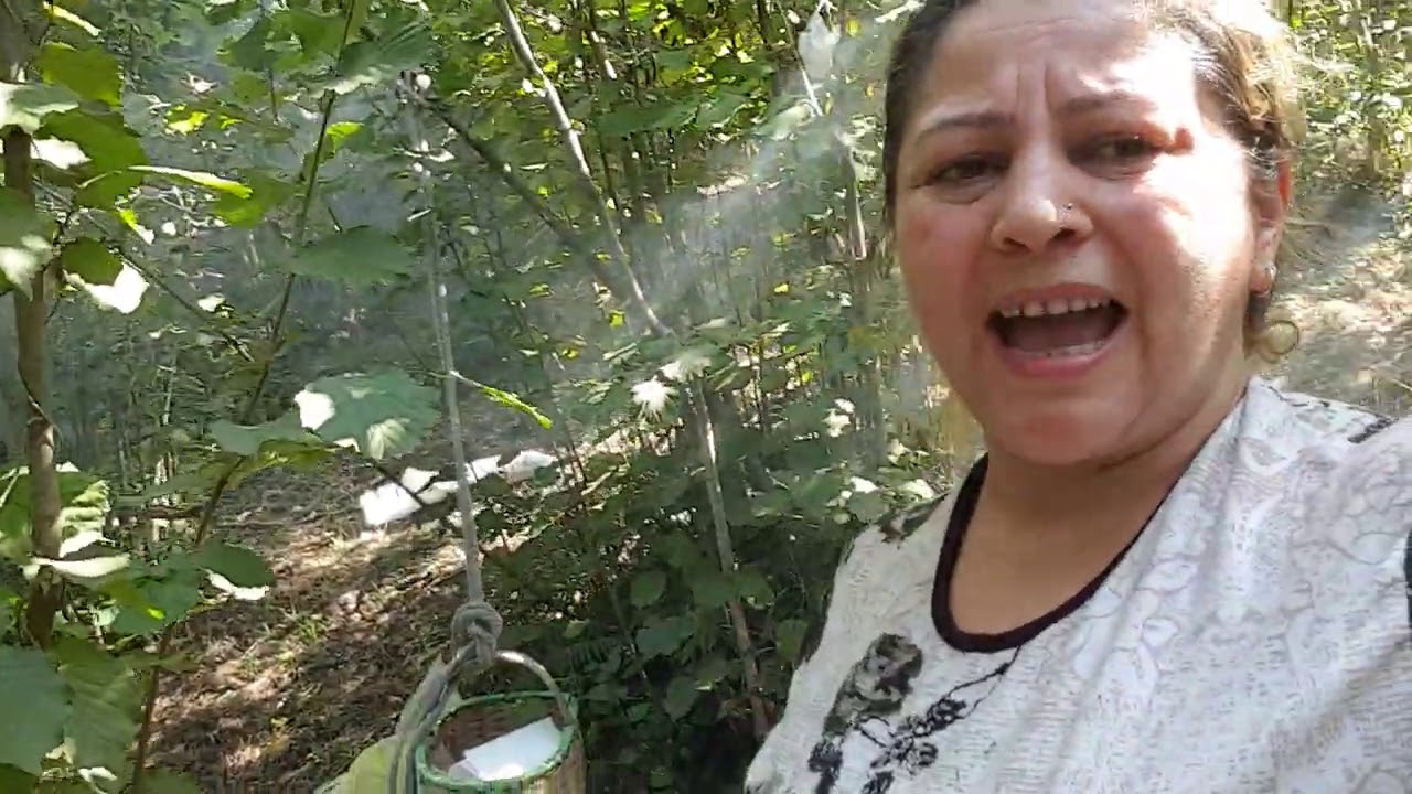 ATEŞ YAKTIM YEMEK YAPTIM FINDIK BAHÇESİNDE MİS GİBİ
