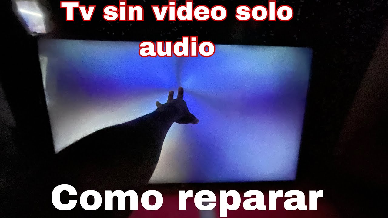 Como reparar tv que se escucha pero no se ve, solo pantalla azul  por que no da video