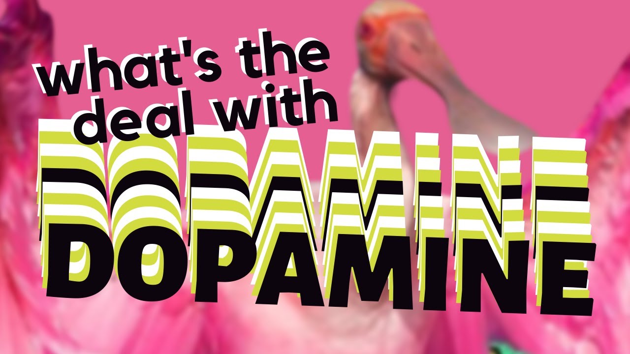 what's the deal with ADHD and DOPAMINE? (with Jesse Meadows)