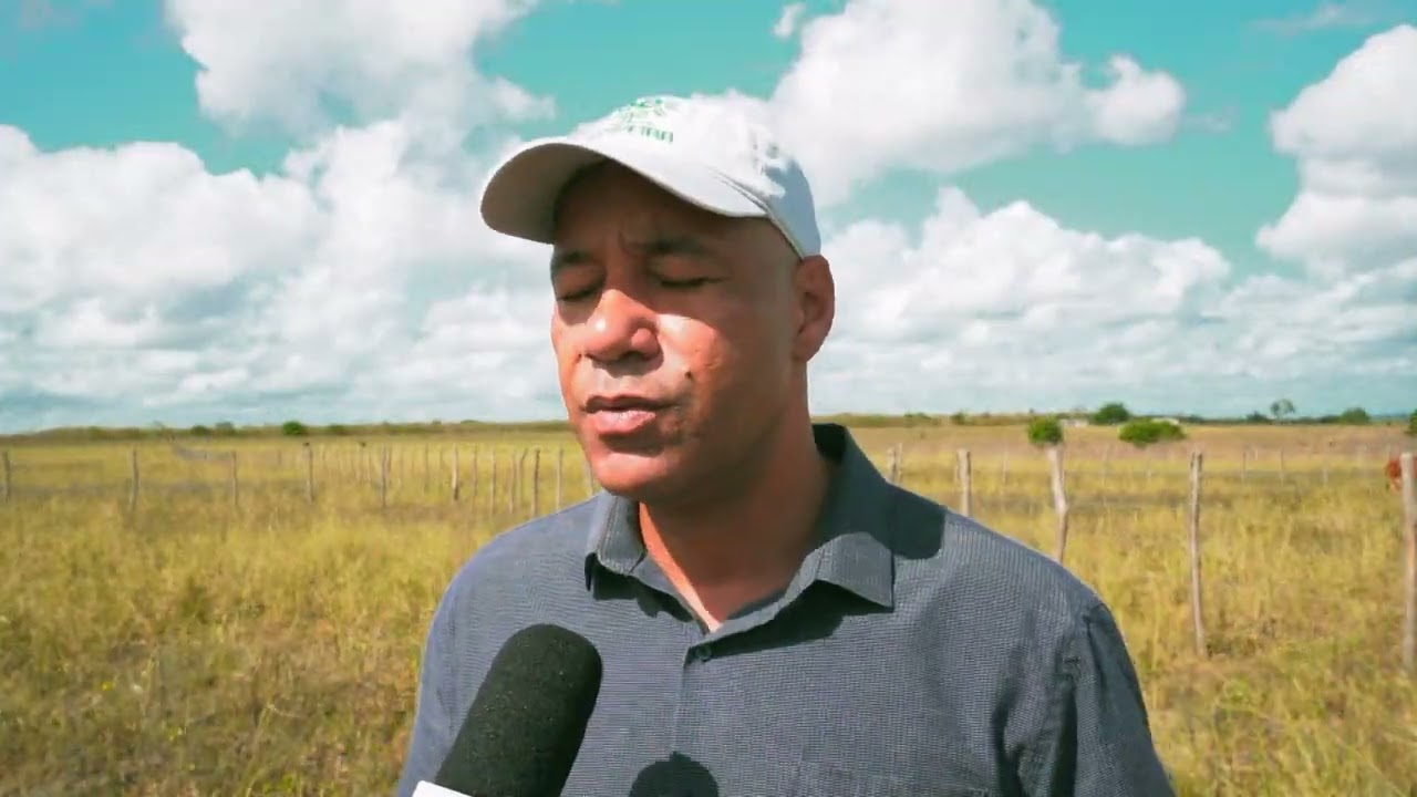 EMBRAPA E CNA AVALIAM O POTENCIAL DE PLANTAS FORRAGEIRAS PARA O SEMIÁRIDO