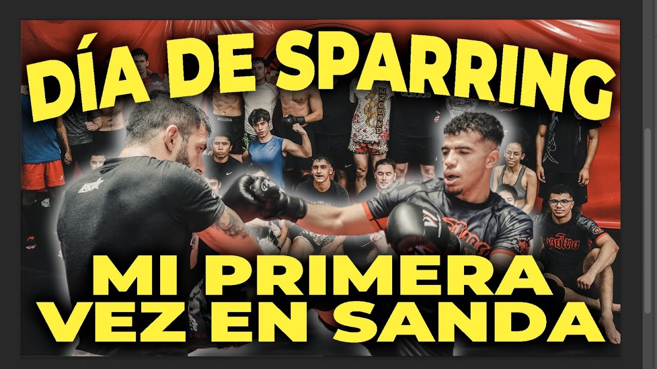 He probado el SANDA (Sparring y OPINIONES)
