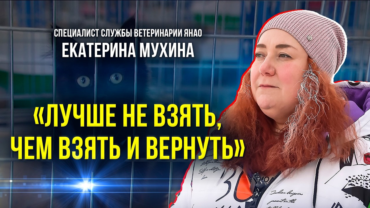 Чем заканчиваются дни открытых дверей в приютах для животных