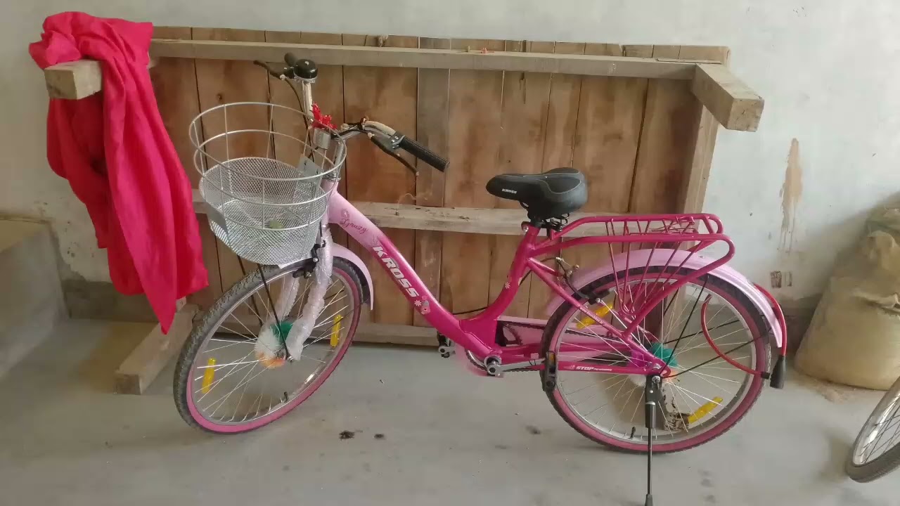 My new cycle 