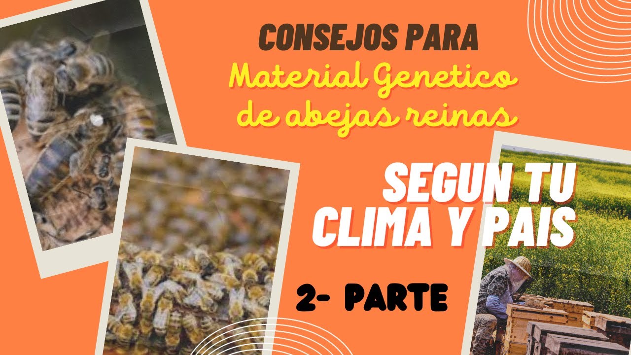 Listado de Consejos al momento de elegir MATERIAL GENTICO EN ABEJAS  para tu pais, clima o region
