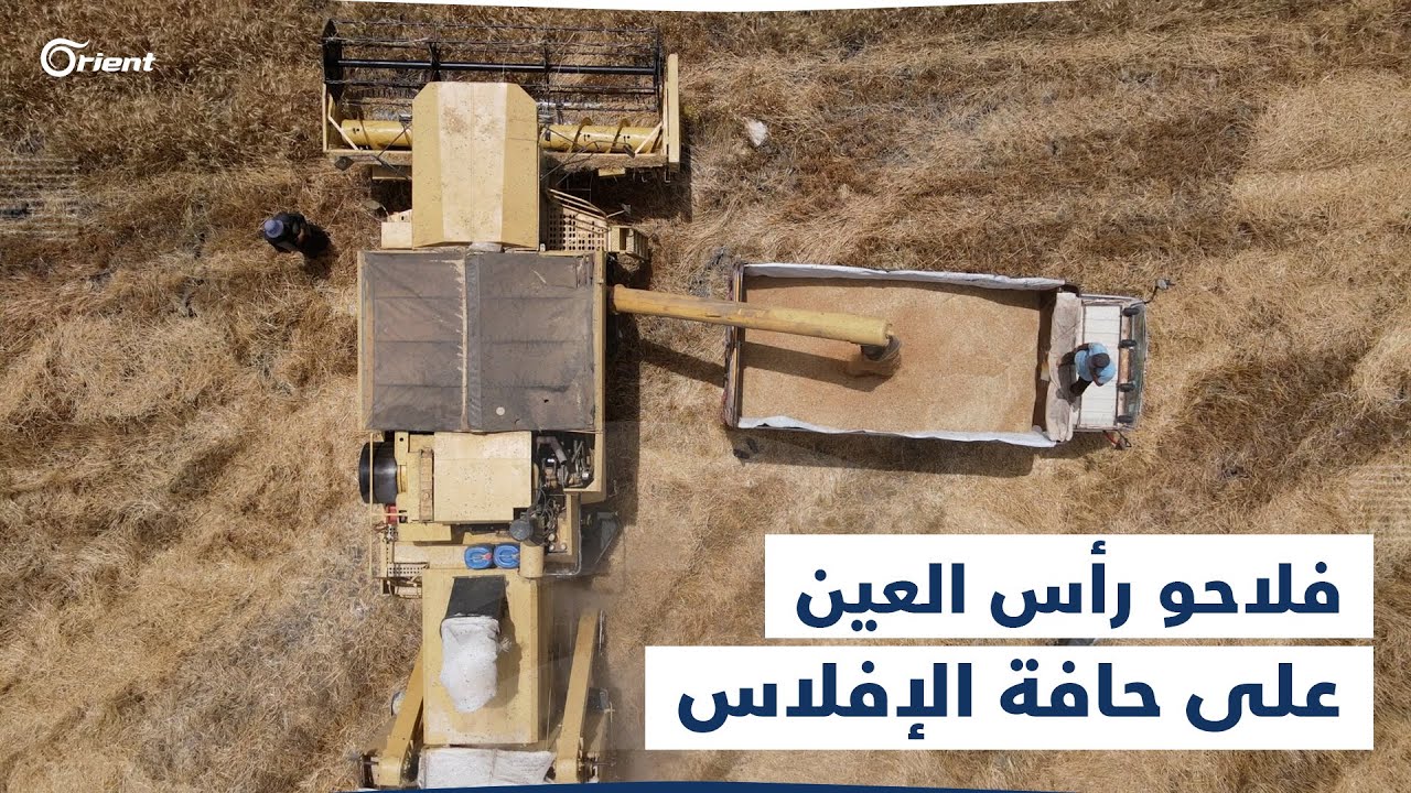 أسعار الحكومة المؤقتة لشراء القمح تصدم مزارعي ريف الحسكة والفلاحون على 