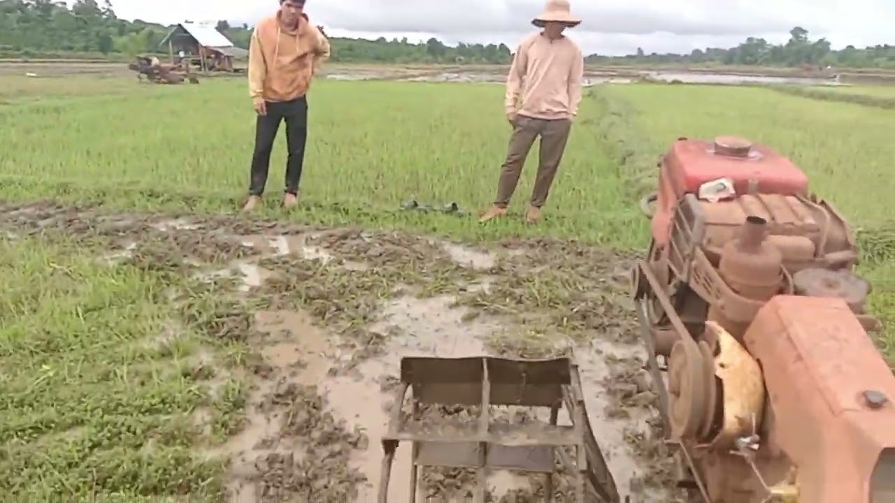 Rồi bắt đầu anh em mình đi cày ruộng nhé mọi người mong mọi người ủng hộ kênh của em nhé 🥰
