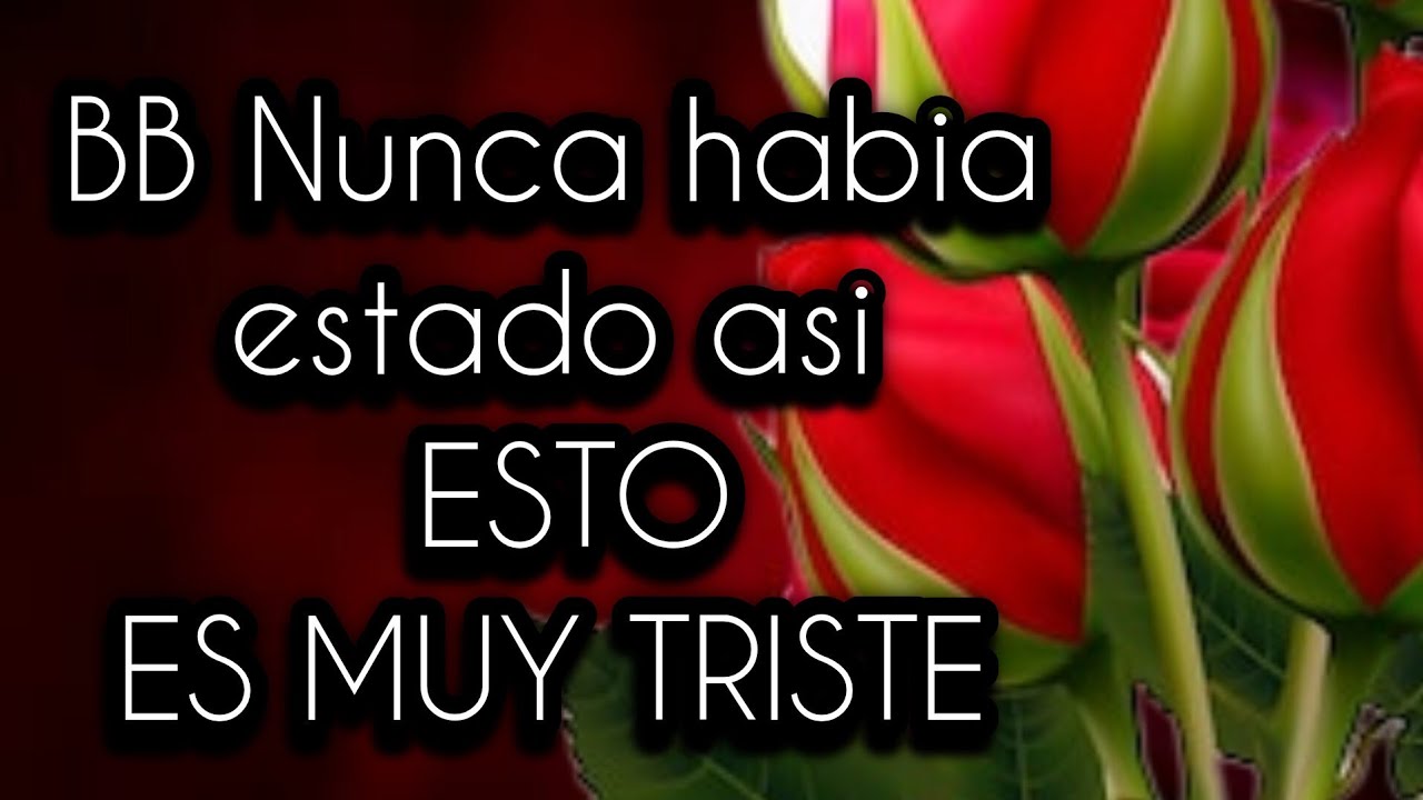 BB Nunca habia estado asi b ESTO ES MUY TRISTE PERO DEBES SABERLO SEA FUERTE Y ESCUCHALO POR FAVOR