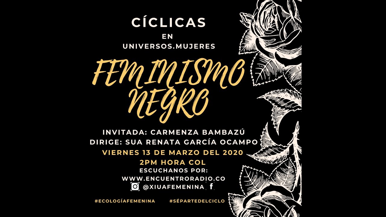 C&Iacute;CLICAS: Feminismo Negro