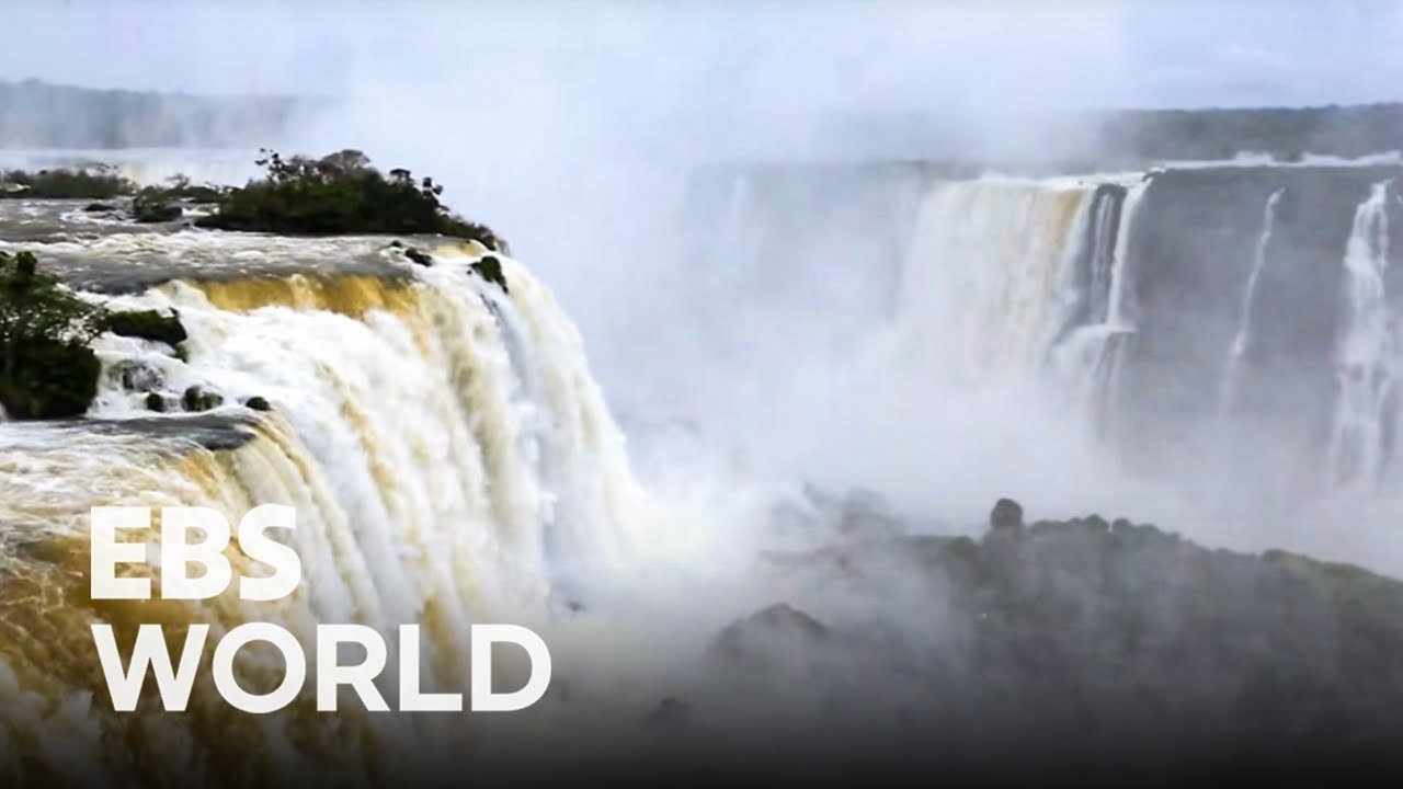 Wild Brazil - Part 4, The Great Waters, Parana and Iguazu FallsㅣTravelogue Earth