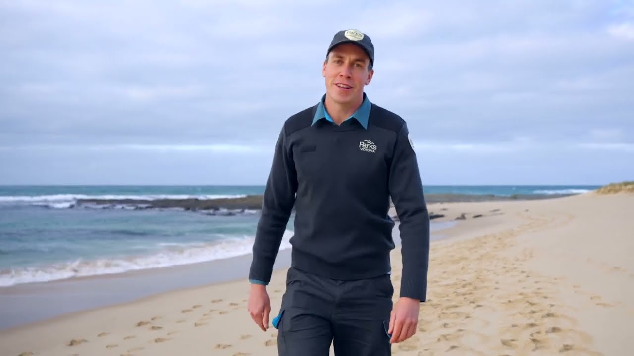 Great Ocean Walk Visitor Guide