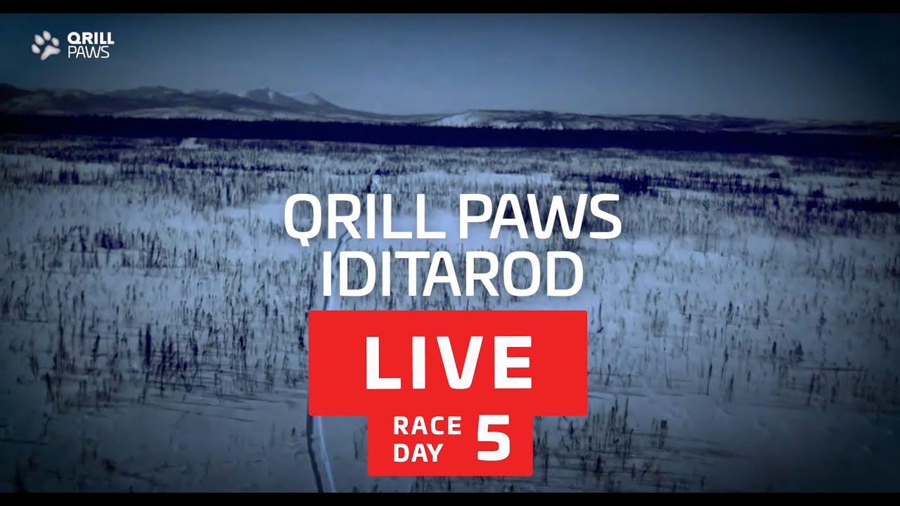 IDITAROD 2022 LIVE  // RACE DAY 5 // Part 1