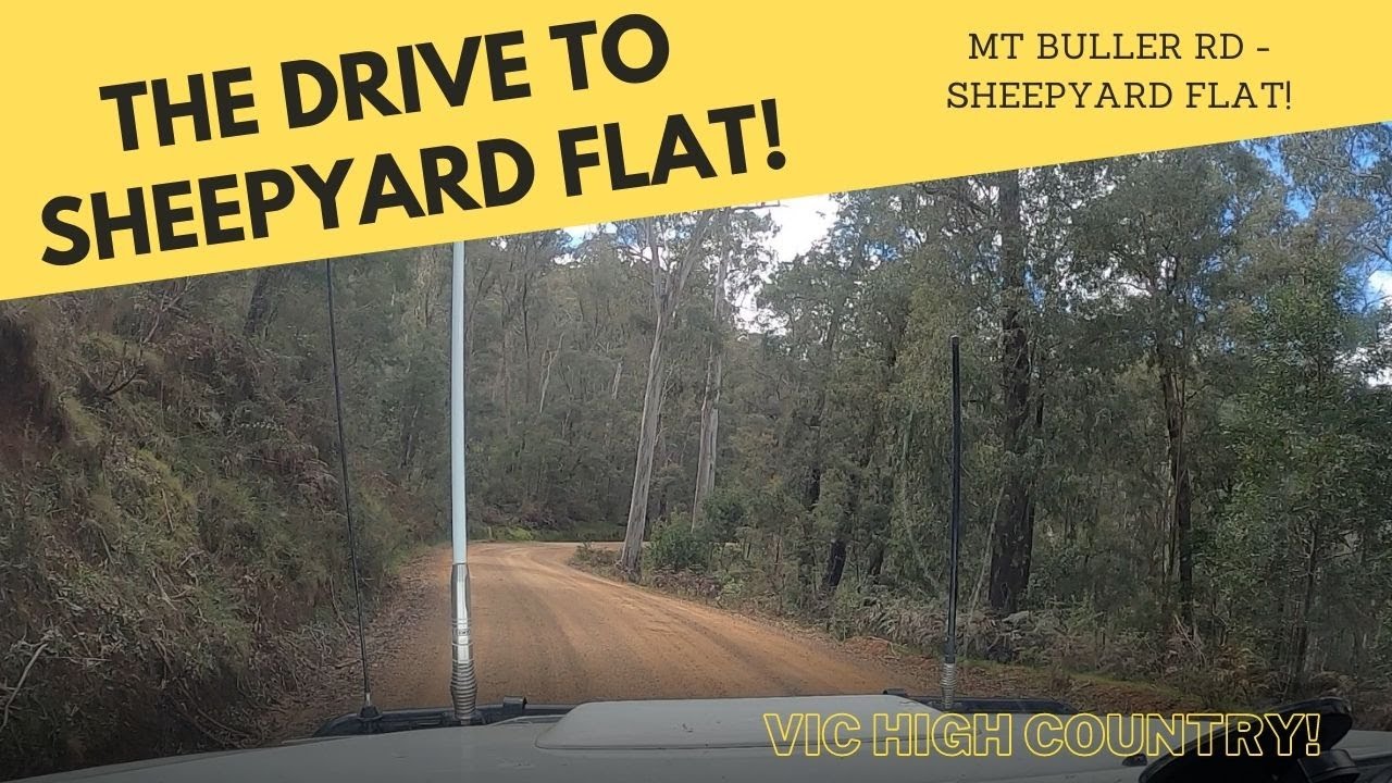 Mt Buller Road to Sheepyard Flat! The full drive along Howqua Track!