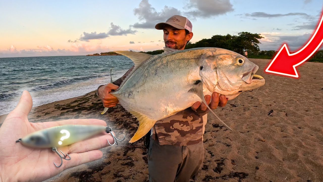 5 astuces de pêche qui m'ont fait prendre des carangues!