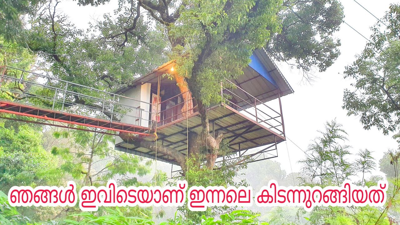 പുതിയ camping ലൊക്കേഷൻ തേടിയുള്ള യാത്ര ചെന്നെത്തിയത്  WILLMOUNT BISONVALLEY