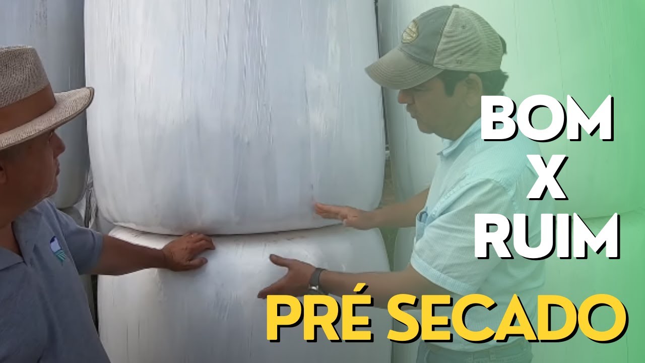 Cuidados com o Manuseio da Silagem Pré-Secada. Ep#061