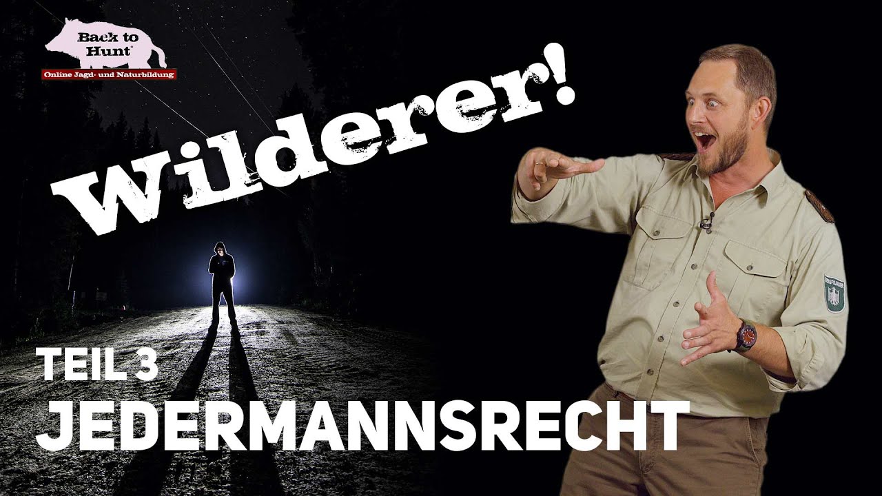 Wilderer Teil 3 | Jedermannsrecht | Back to Hunt