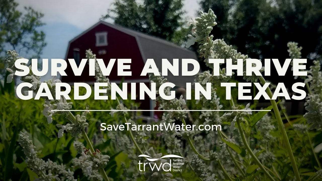Survive and Thrive: Gardening in Texas