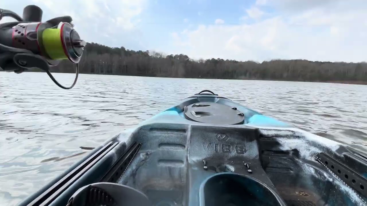 Gran pesca de lubina 