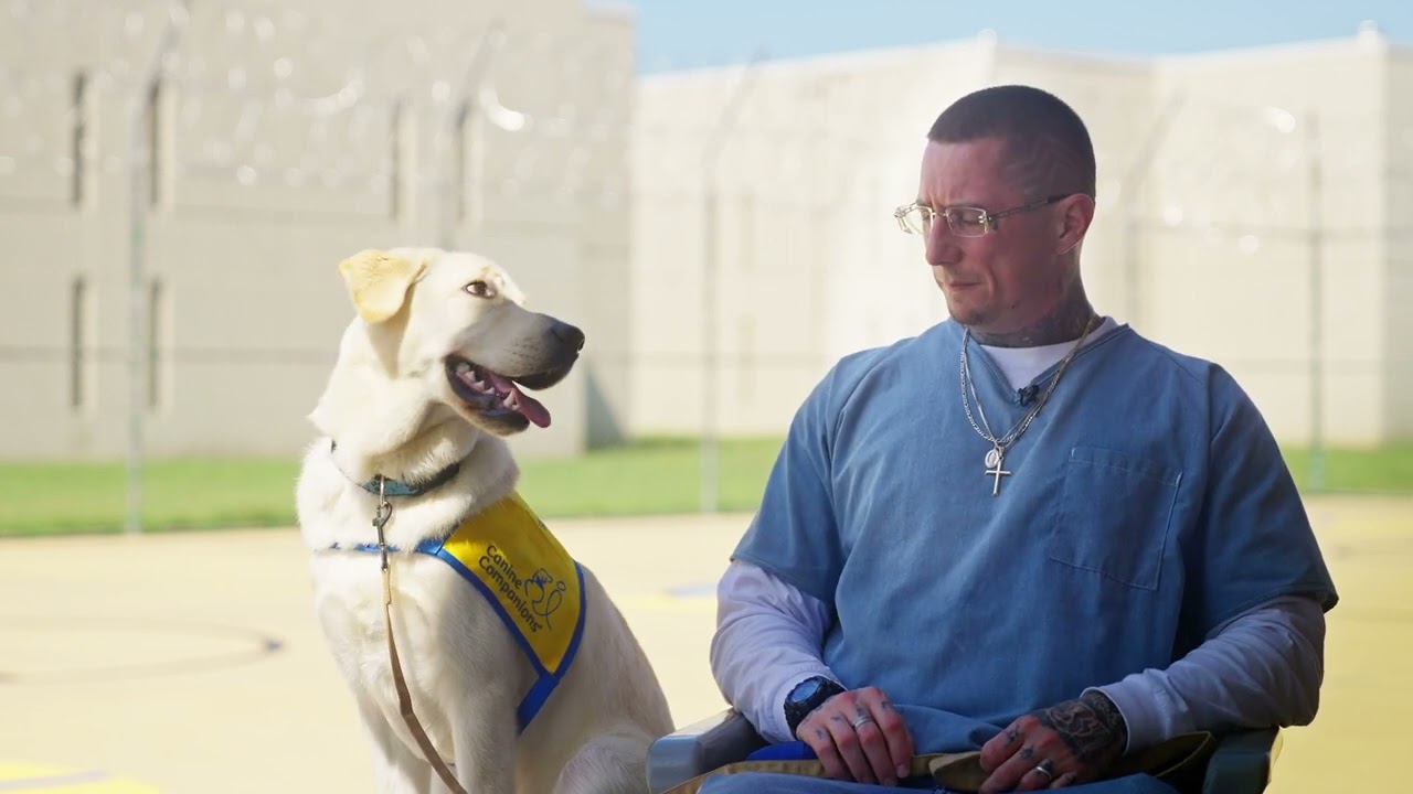 Миссия «Pawsible» — Заключённые помогают | Собаки-компаньоны #щенок #тюрьма #дрессировкасобак