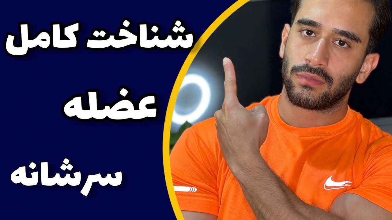 آناتومی سرشانه|بخش بندی عضلات|عملکرد عضلات سرشانه