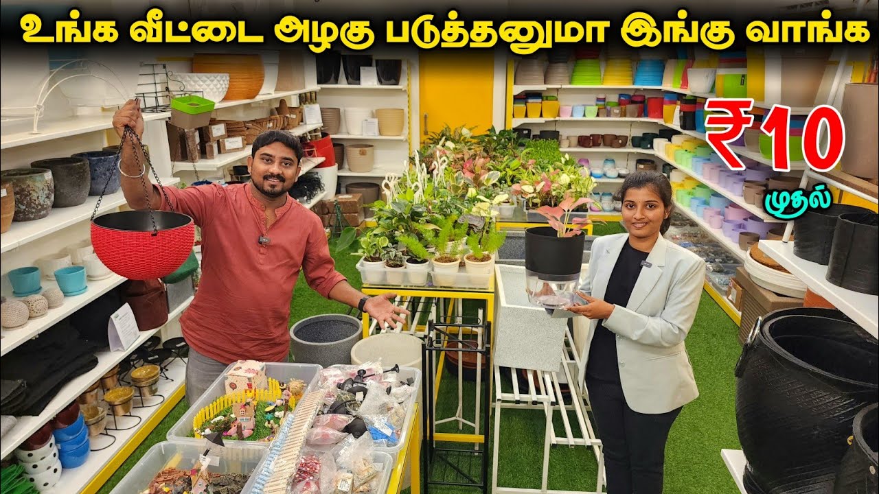 உங்க வீட்டை அழகு படுத்த இங்க வாங்க | Green Celebration | Vino Vlogs
