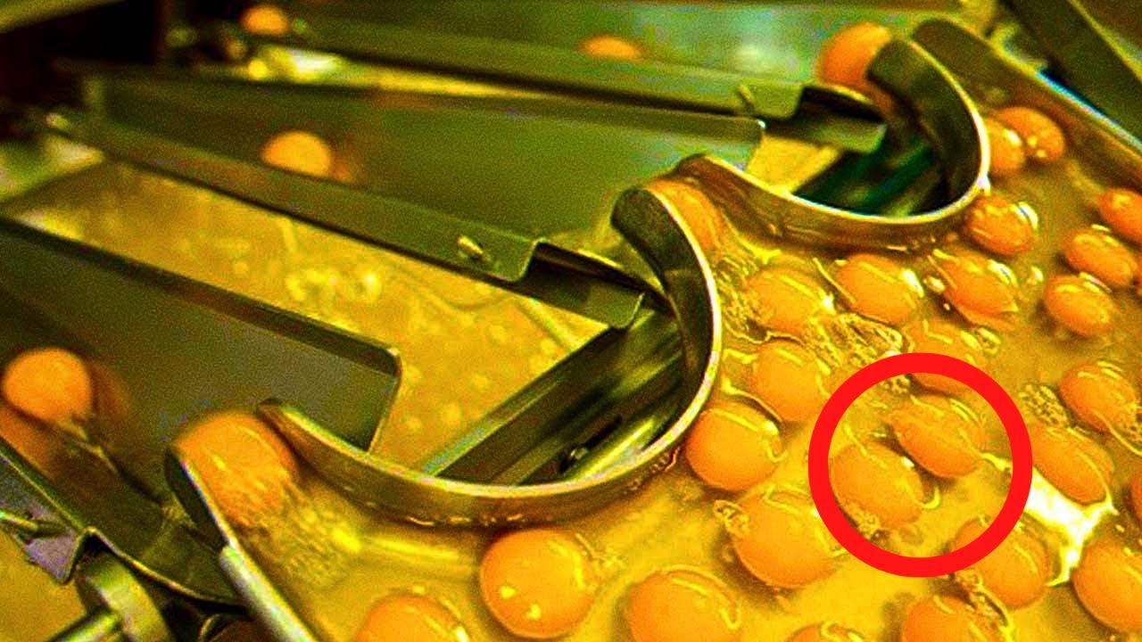 ¡Las MÁQUINAS Más Satisfactorias en Acción! – Parte 2