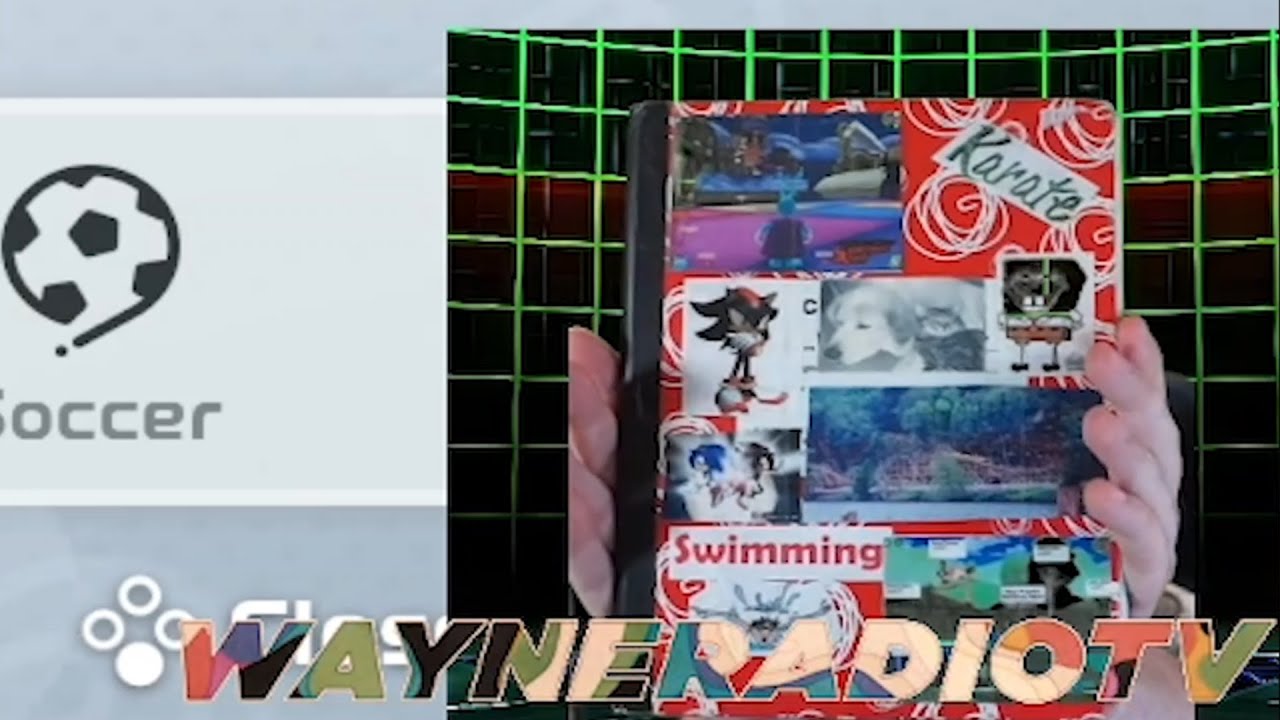 Wayne shows his 4th grade creative writing book [Nintendo Switch Sports stream clip]