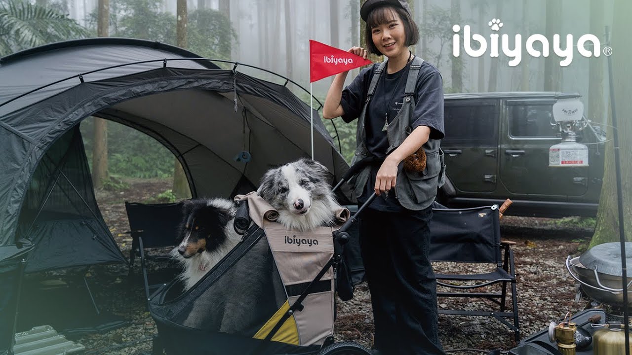 Open the gates to your pet’s outdoor wonders  | FS2450 Minika 3-in-1 Pet Stroller System | IBIYAYA