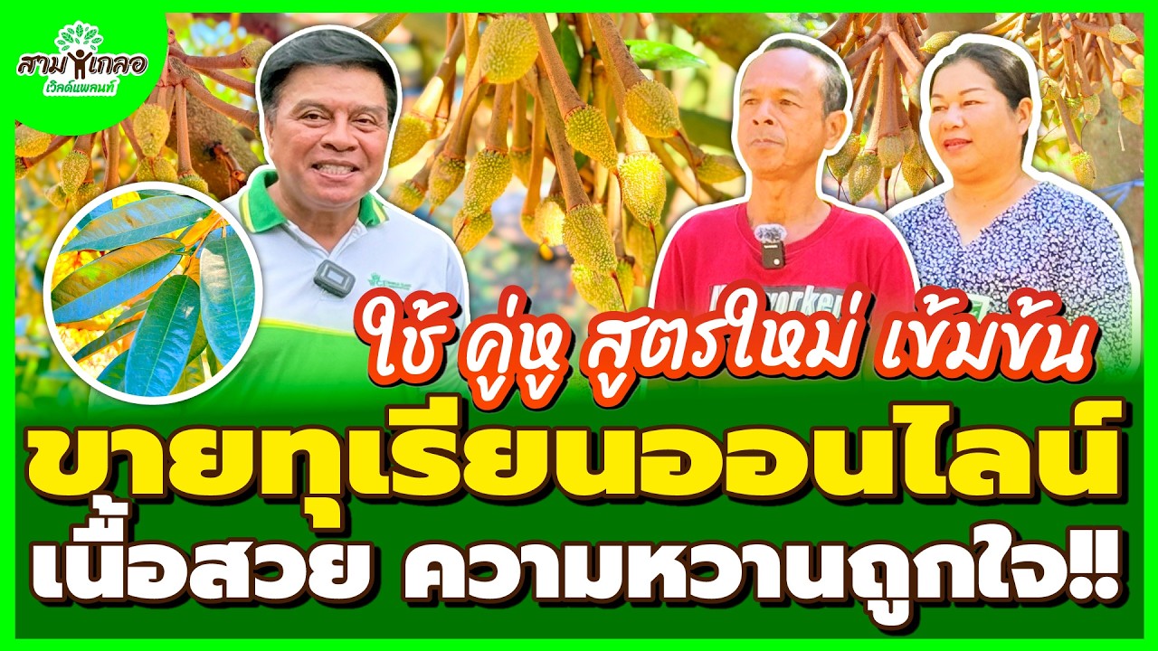 สามเกลอเวิลด์แพลนท์ ทุเรียนสารอาหารครบ กระซิบว่าปีนี้ 60 ตัน น่าจะเกิดขึ้นได้ พี่สมควร จ.ระยอง