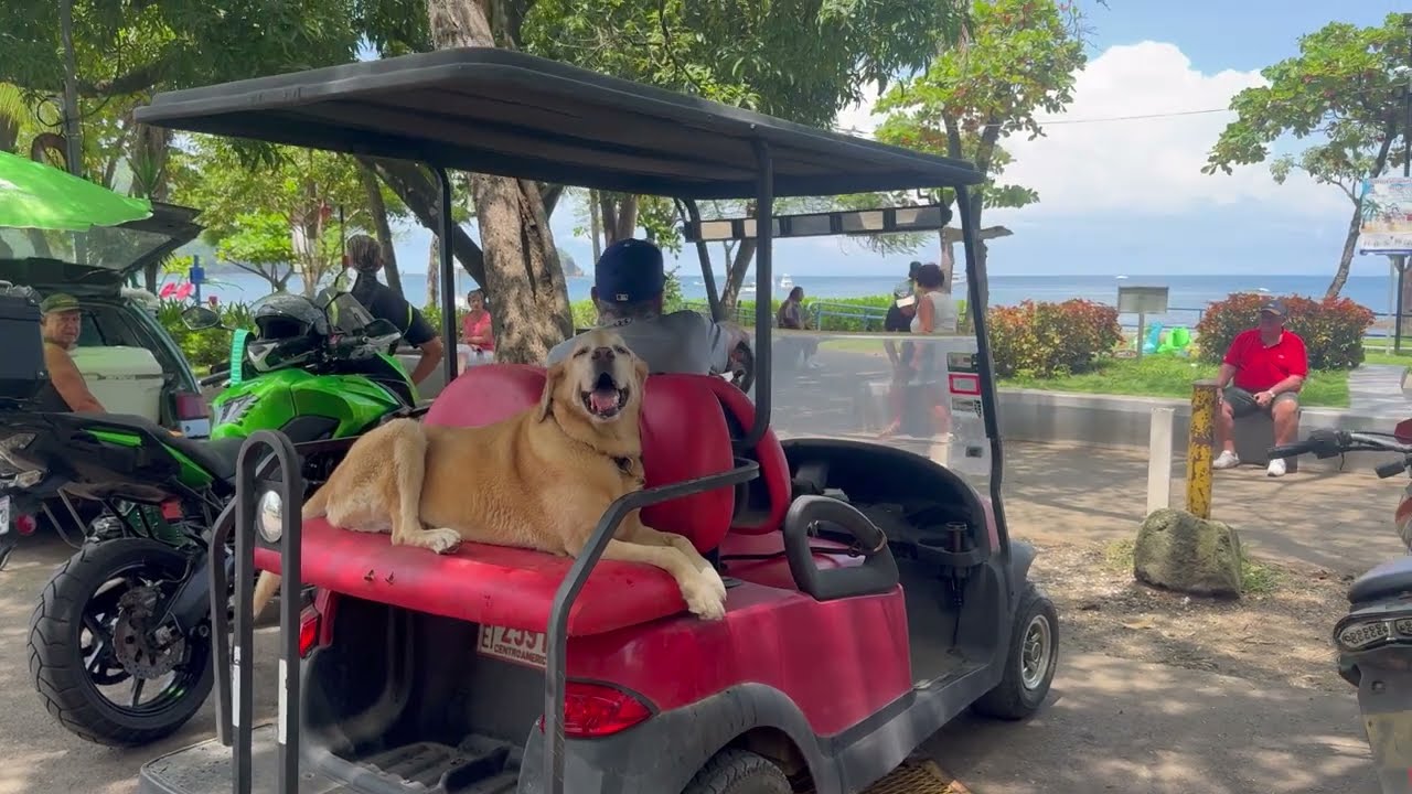 Life in Playas del Coco, Guanacaste, Costa Rica