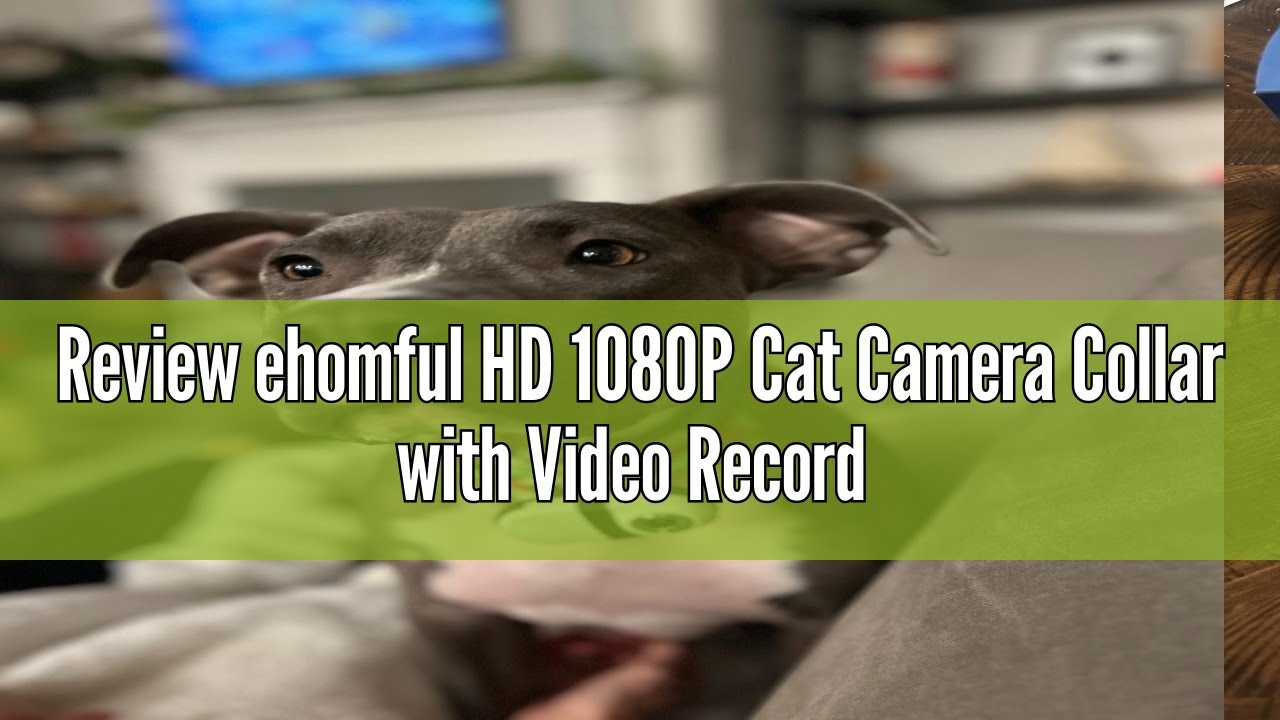 Review ehomful HD 1080P Cat Camera Collar with Video Record Wireless Mini Sport cam,Small Action Cam