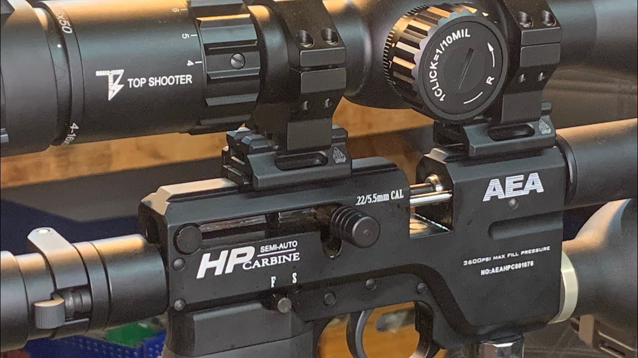 AEA HP CARBINE SIMI AUTO .22 CAL, CHRONOGRAPH DAY