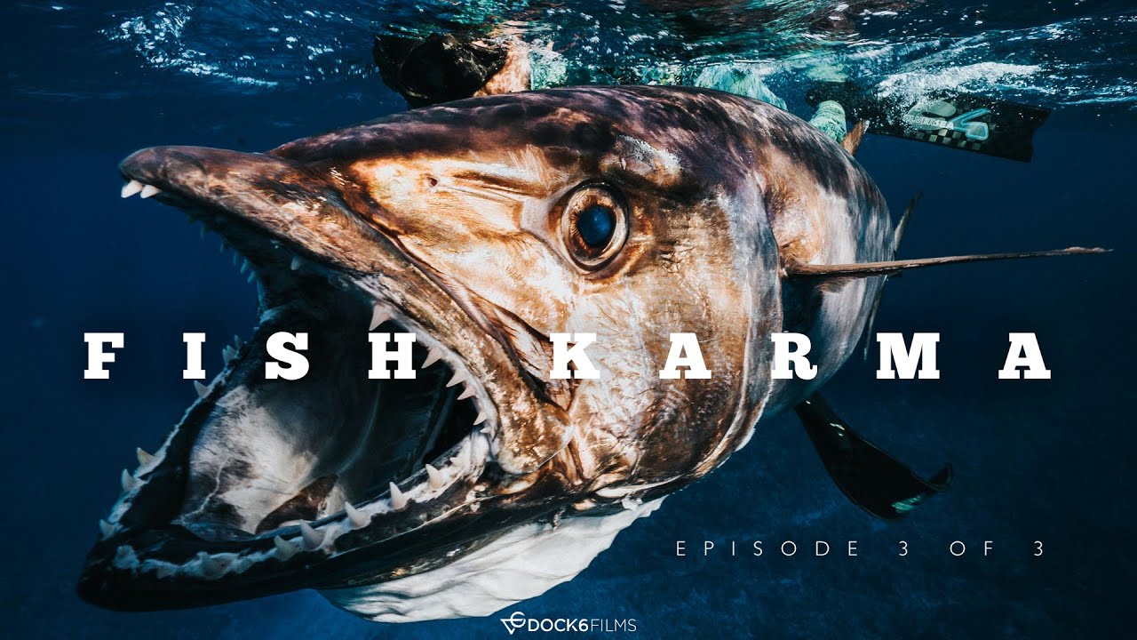 Spearfishing 56kg dog tooth Tuna in remote wreck island Fiji! FISH KARMA EP.3