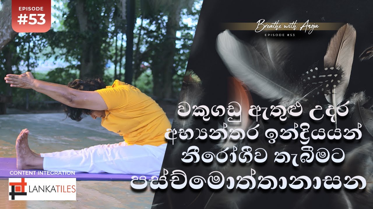 වකුගඩු ඇතුළු උදර අභ්‍යන්තර ඉන්ද්‍රියයන් නීරෝගීව තැබීමට පස්ච්මොත්තානාසන | Breathe with Anoja | Ep 53