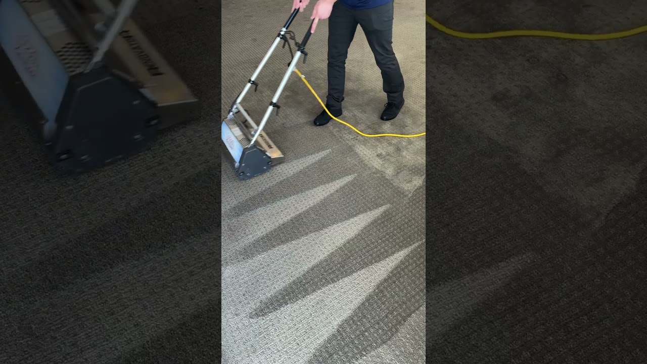 Oxi Fresh Carpet Cleaning