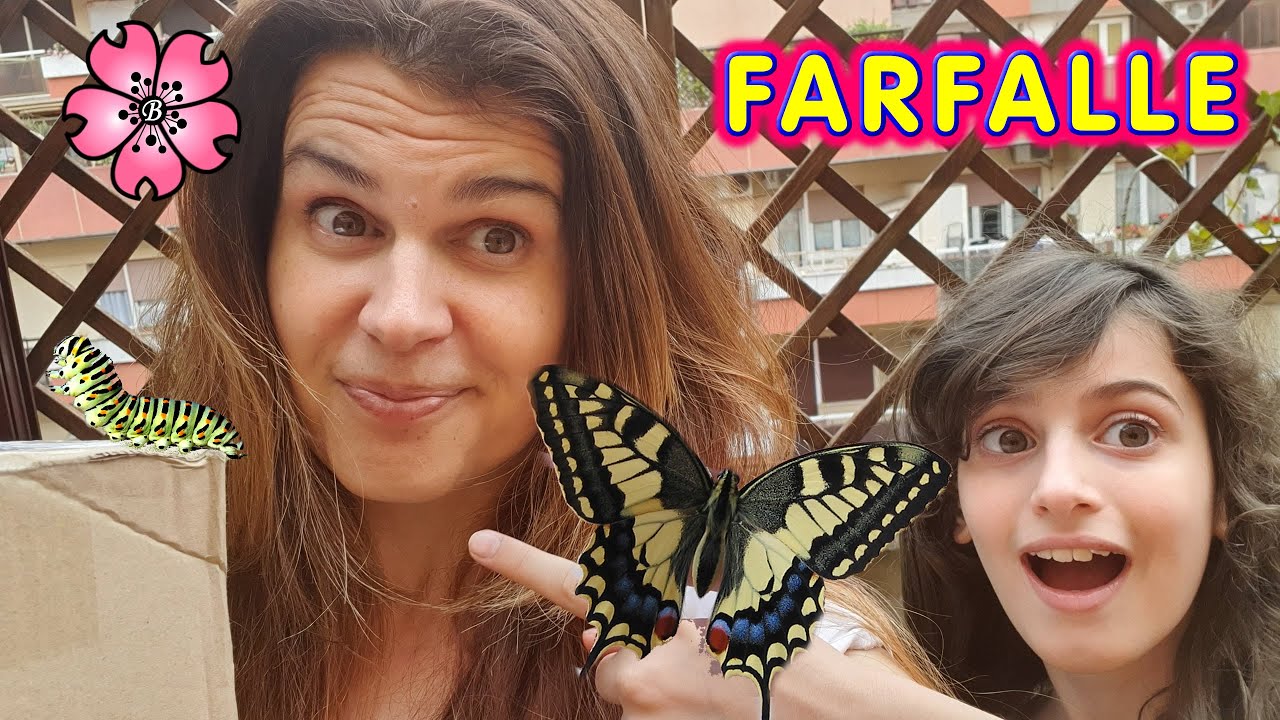 FACCIAMO NASCERE LE FARFALLE: il MACAONE! *iniziato male, finito bene*
