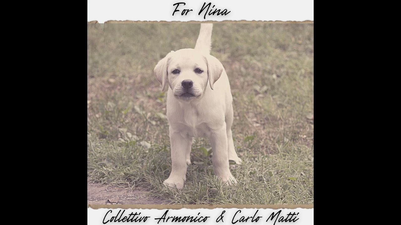 Carlo Matti & Collettivo Armonico - For Nina (A Serene Piano Composition)