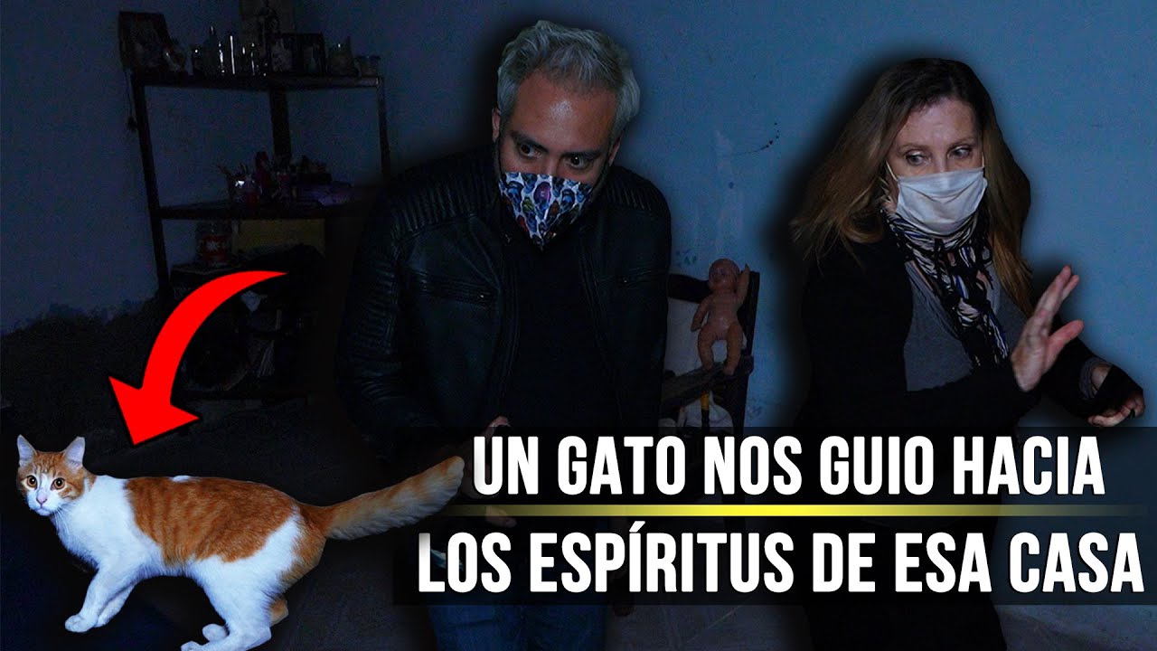 ¡Un Gato nos guió hacia los Espíritus de esa Casa!
