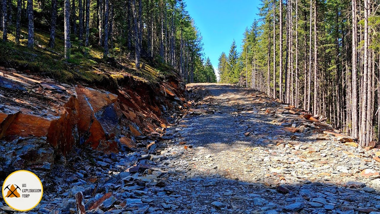 Loggers Used High Grade Copper, Silver & Gold Bearing Rocks To Build This Road!