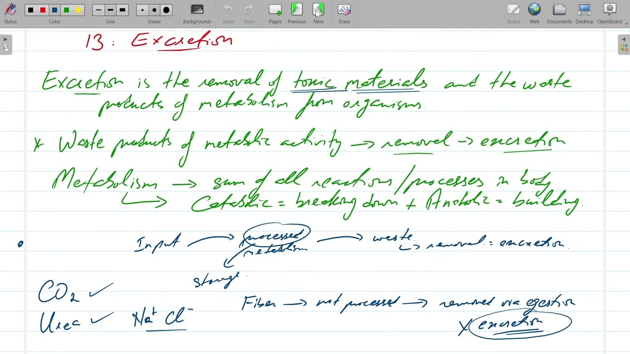 Biology - IGCSE/O Level - Session 2025-26 -Class # 27
