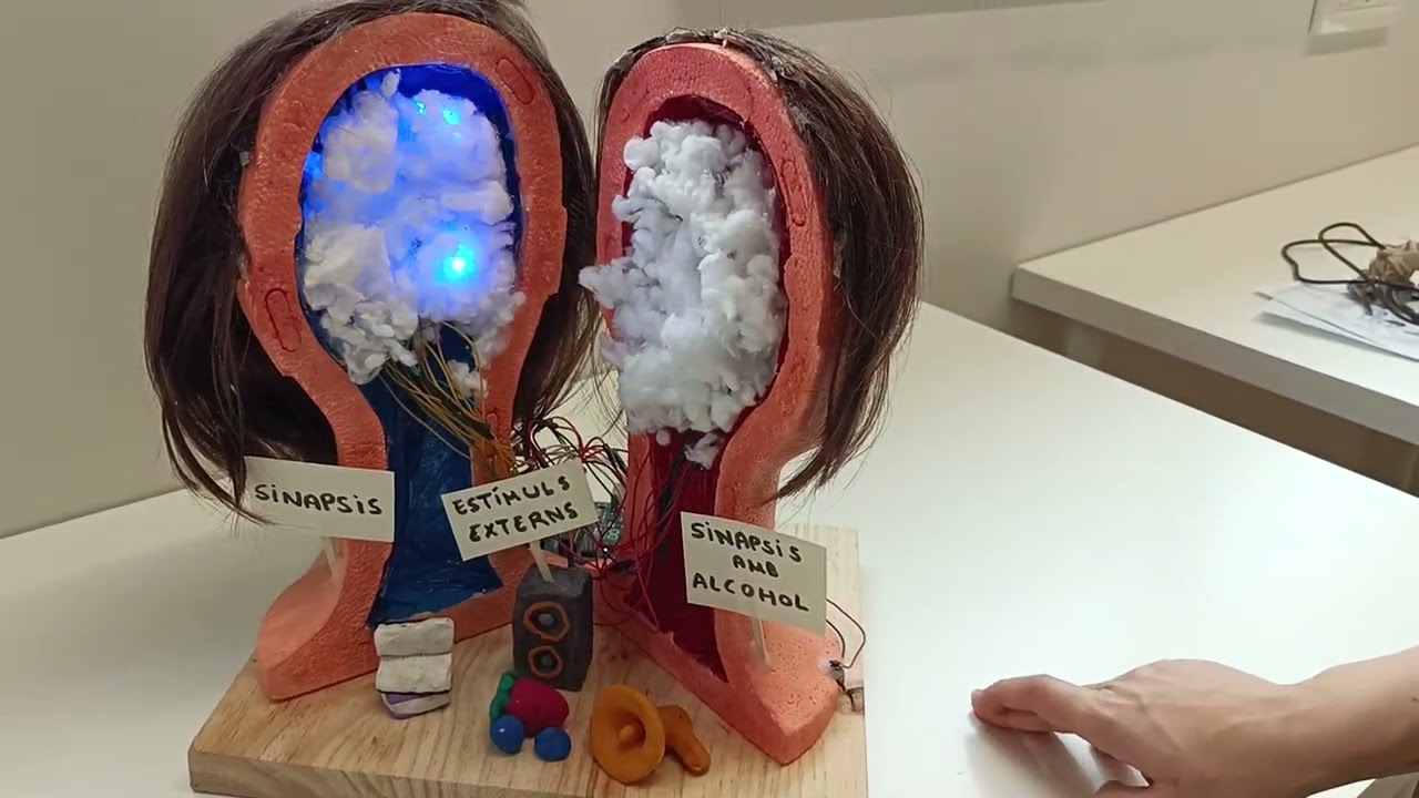 L'alcohol o la sinapsi #NeuroArt2026
