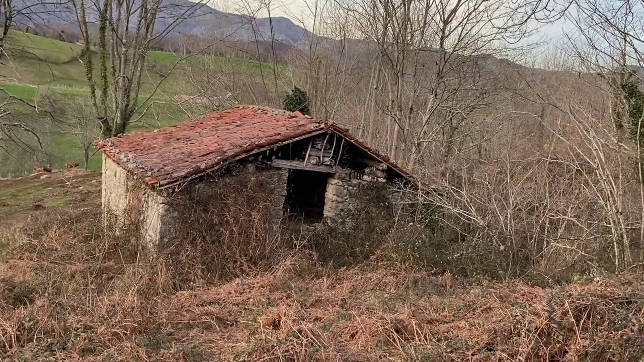 Cabaña con Agua y 10 000 m2 ideal para Permacultura