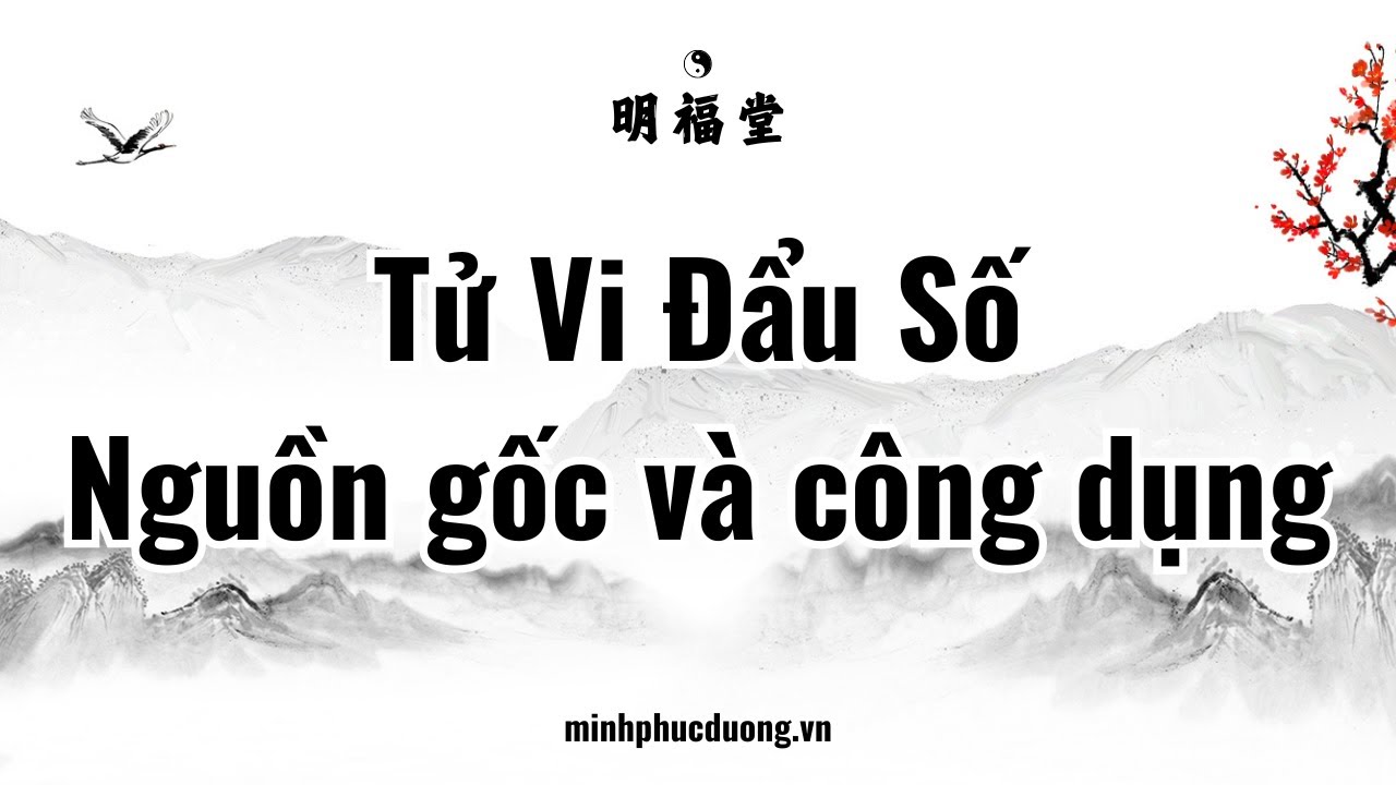 Tử Vi Đẩu Số - Nguồn gốc và công dụng