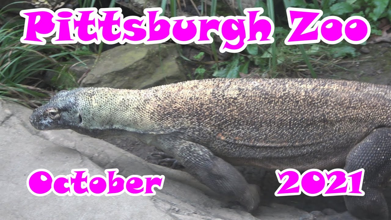 Pittsburgh Zoo October 2021