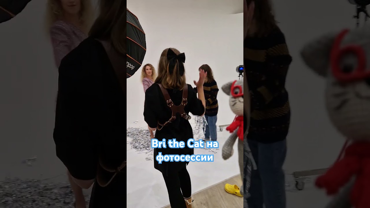 Bri the Cat эстет, он любит красоту 