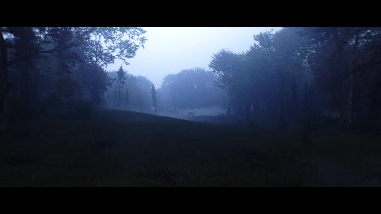 Cold Forest Environment - Full Breakdown